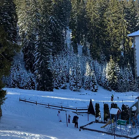 314 The Castle 3 アパート